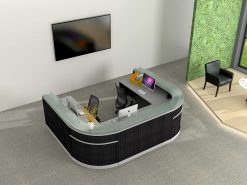 Cosmo reception (11)