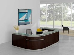 Cosmo reception (12)