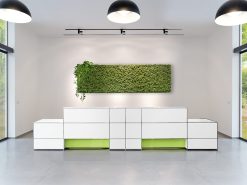 Executive desk-Mirrage 2 (2)