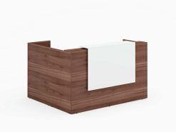 Prism 603 reception (8)