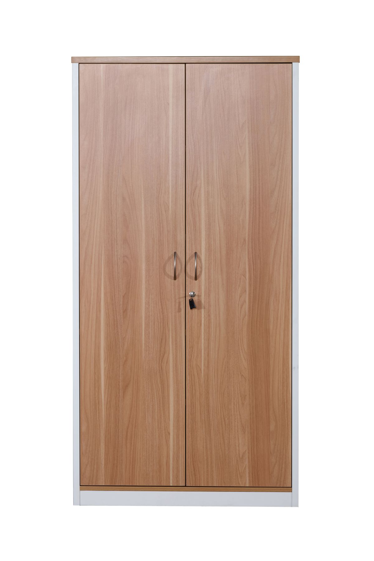 Full door cabinet-3