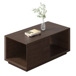 Gizmo CT19 Rectangular coffee table-1206