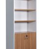 Half door cabinet-3