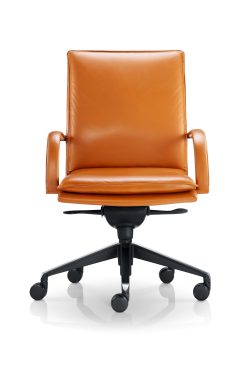 LS-M01（JM007AB）chair-2